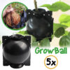 Koule GrowBall na zakořenění rostlin