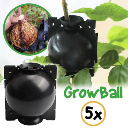 Koule GrowBall na zakořenění rostlin