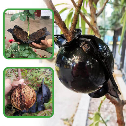 Sfere per moltiplicazione di piante GrowBall