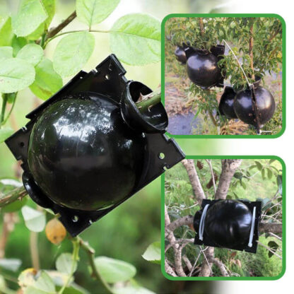 Sfere per moltiplicazione di piante GrowBall