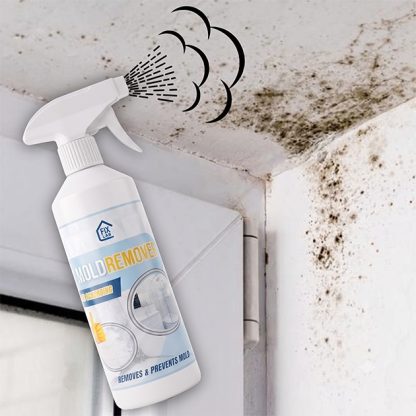 Sprej za odstranjevanje plesni Mold Remover
